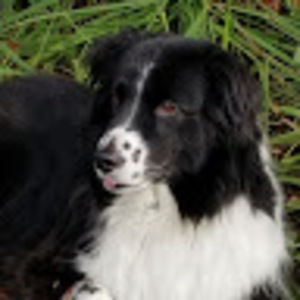 Meet your Posher, Brooks b.